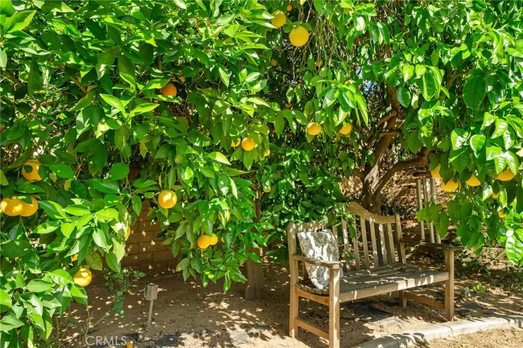 Additional image 53 of 1243 Fulbright Avenue, Redlands, CA 92373