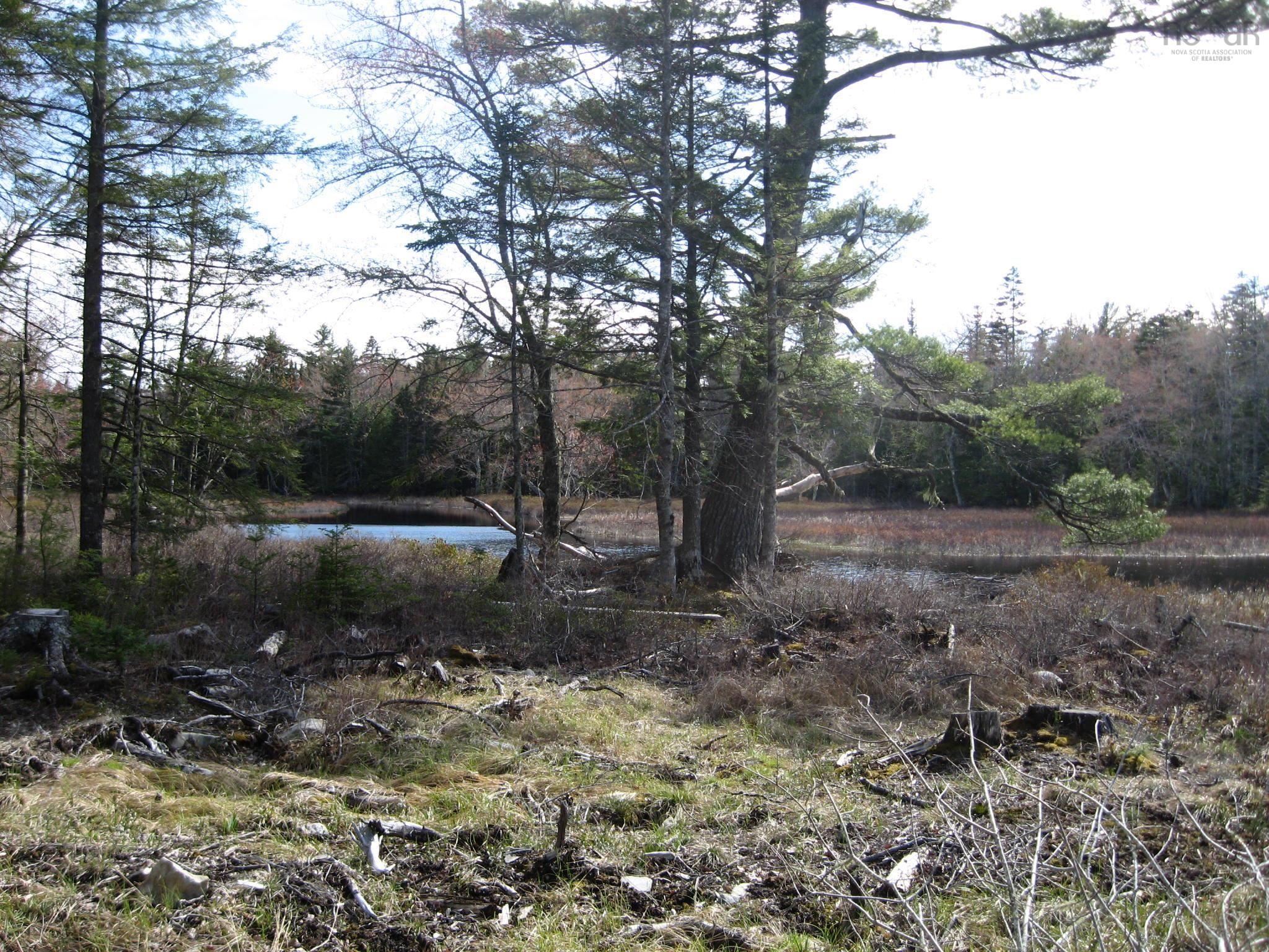 Photo 1 of 17 — 77 Bear Cove Road, Greenfield, NS B0T 1E0