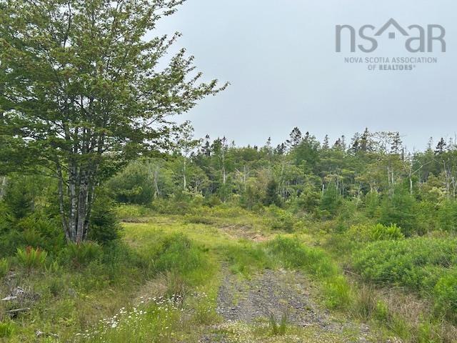 Photo 1 of 14 — Lot 7 Bay Street, French Cove, NS B0E 3B0