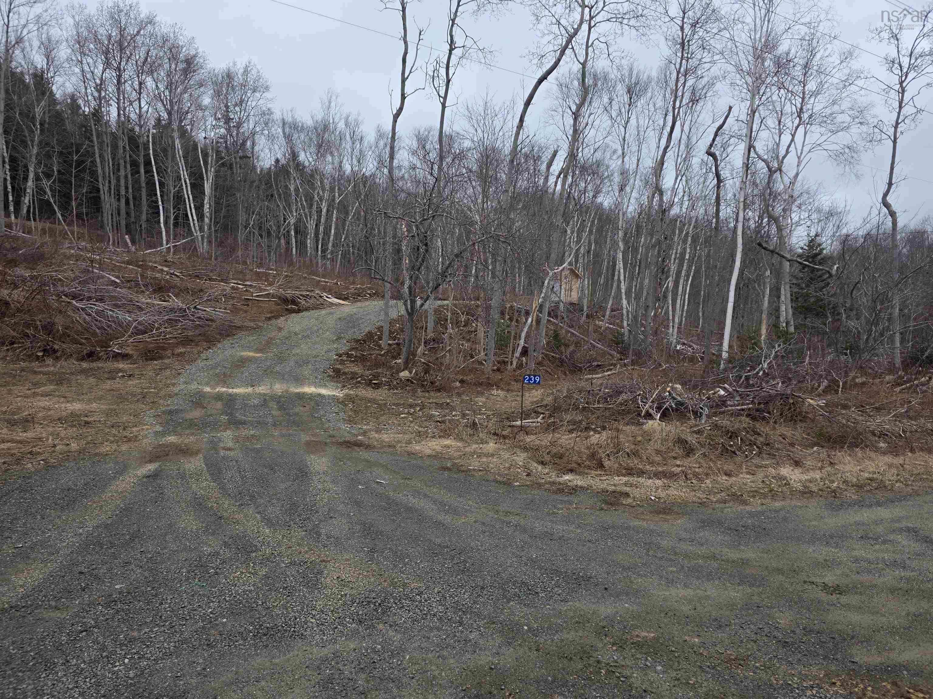Photo 1 of 20 — 239 Sissiboo Road Lot 2, Weymouth, NS B0W 3T0