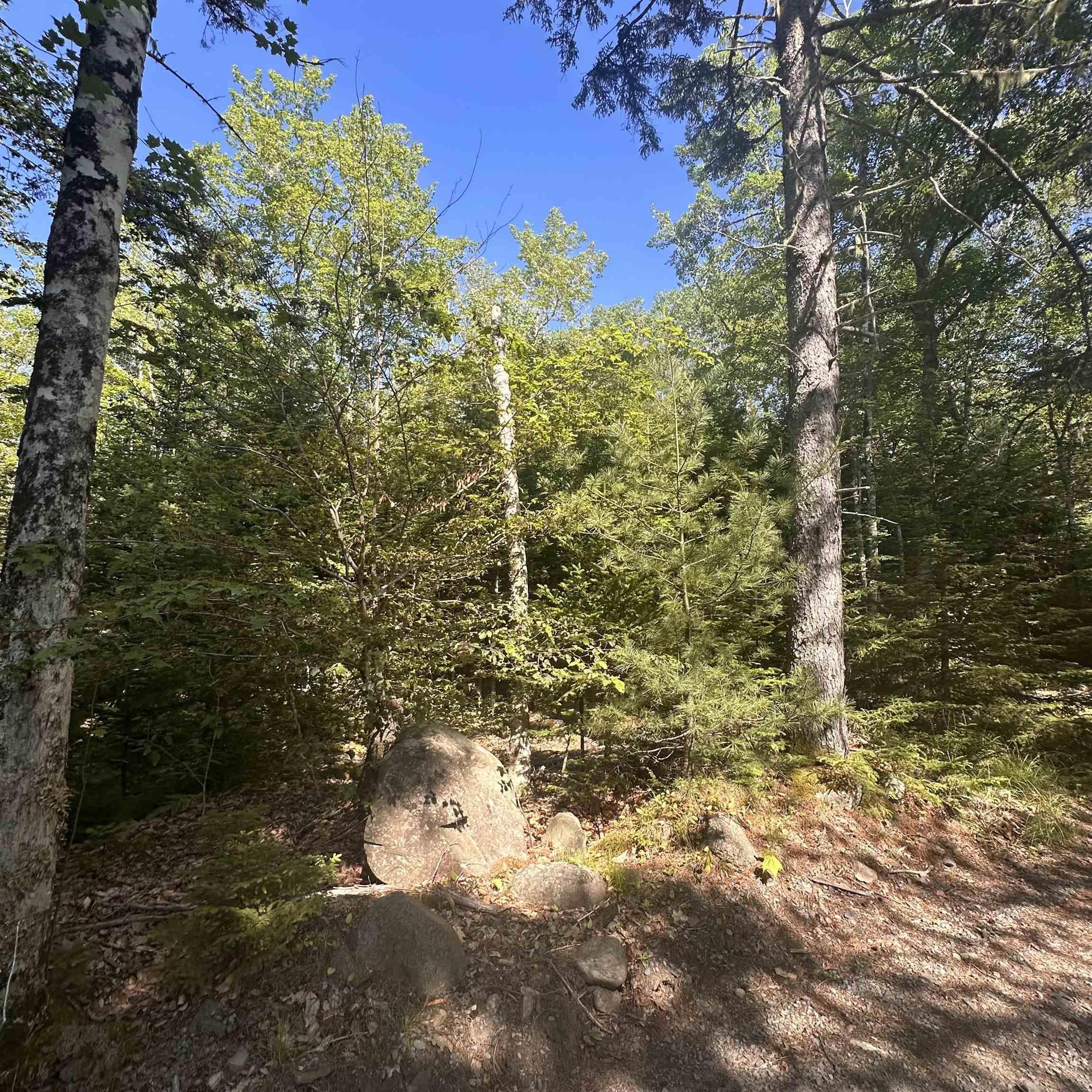 (Pid 70241864) Wellington Road Lot - Photo 3