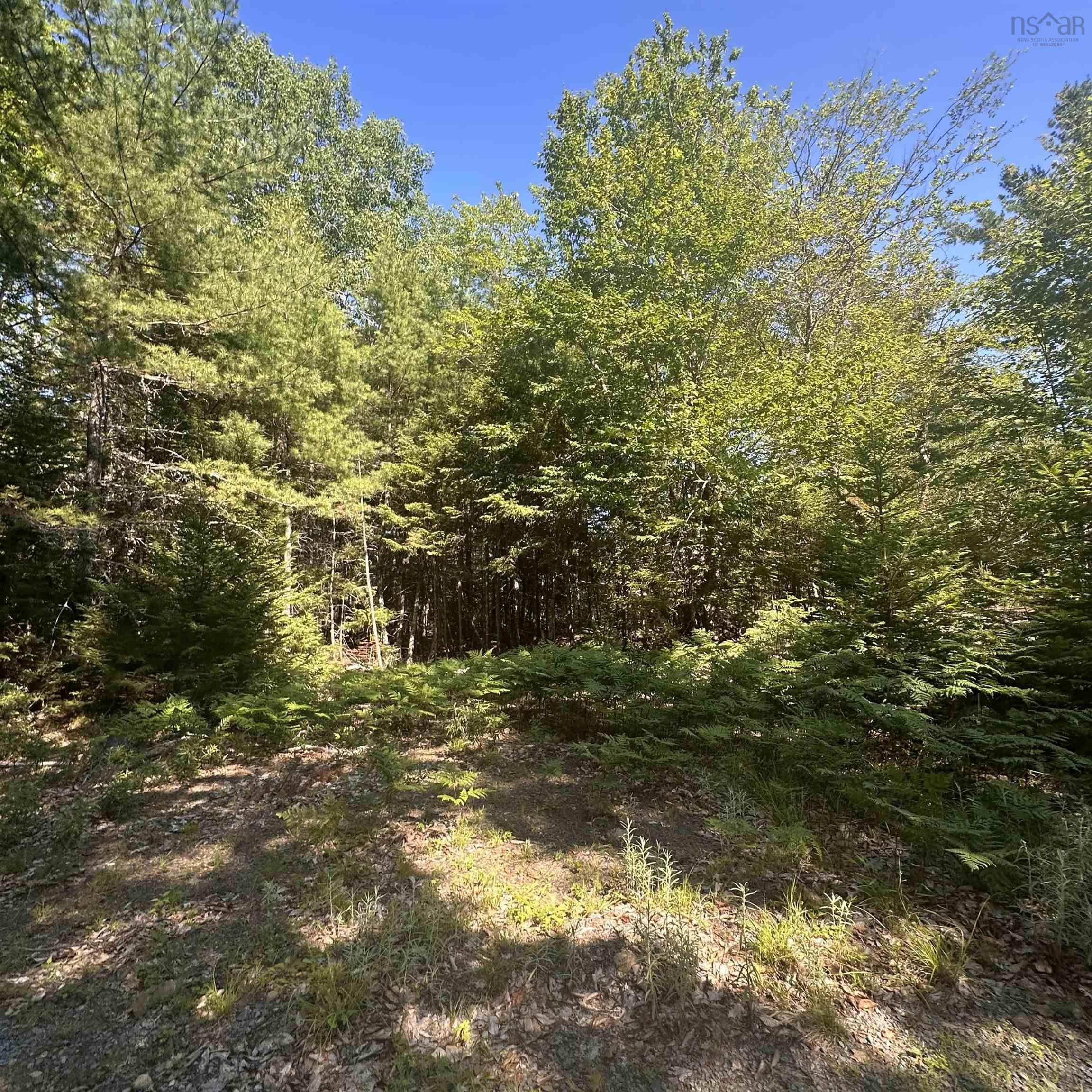 (Pid 70241864) Wellington Road Lot - Photo 2