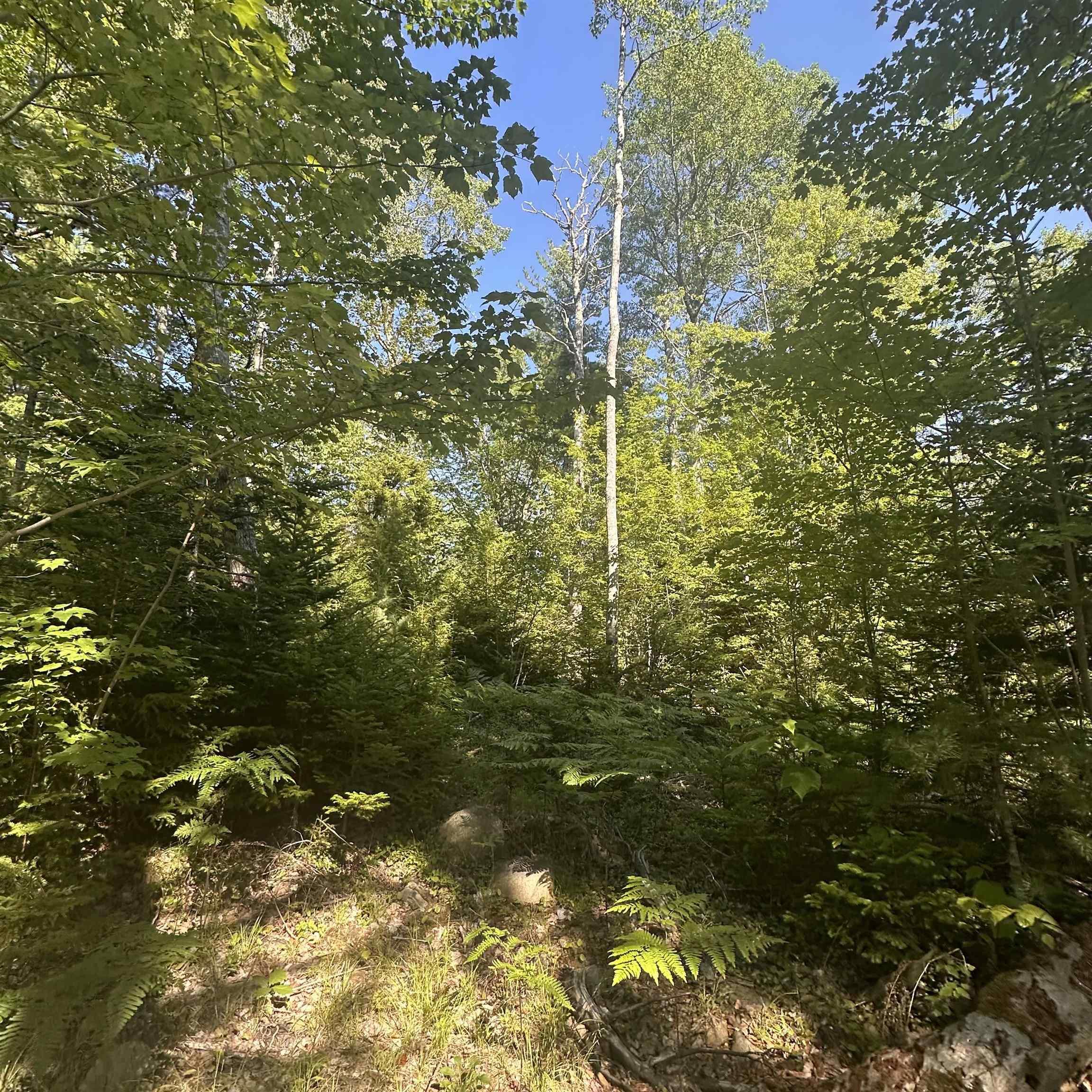 (Pid 70241864) Wellington Road Lot - Photo 4