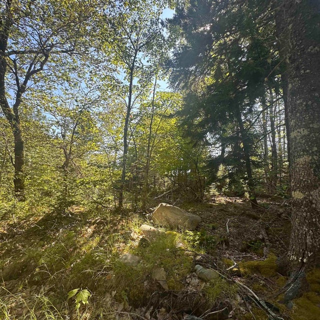 (Pid 70241864) Wellington Road Lot