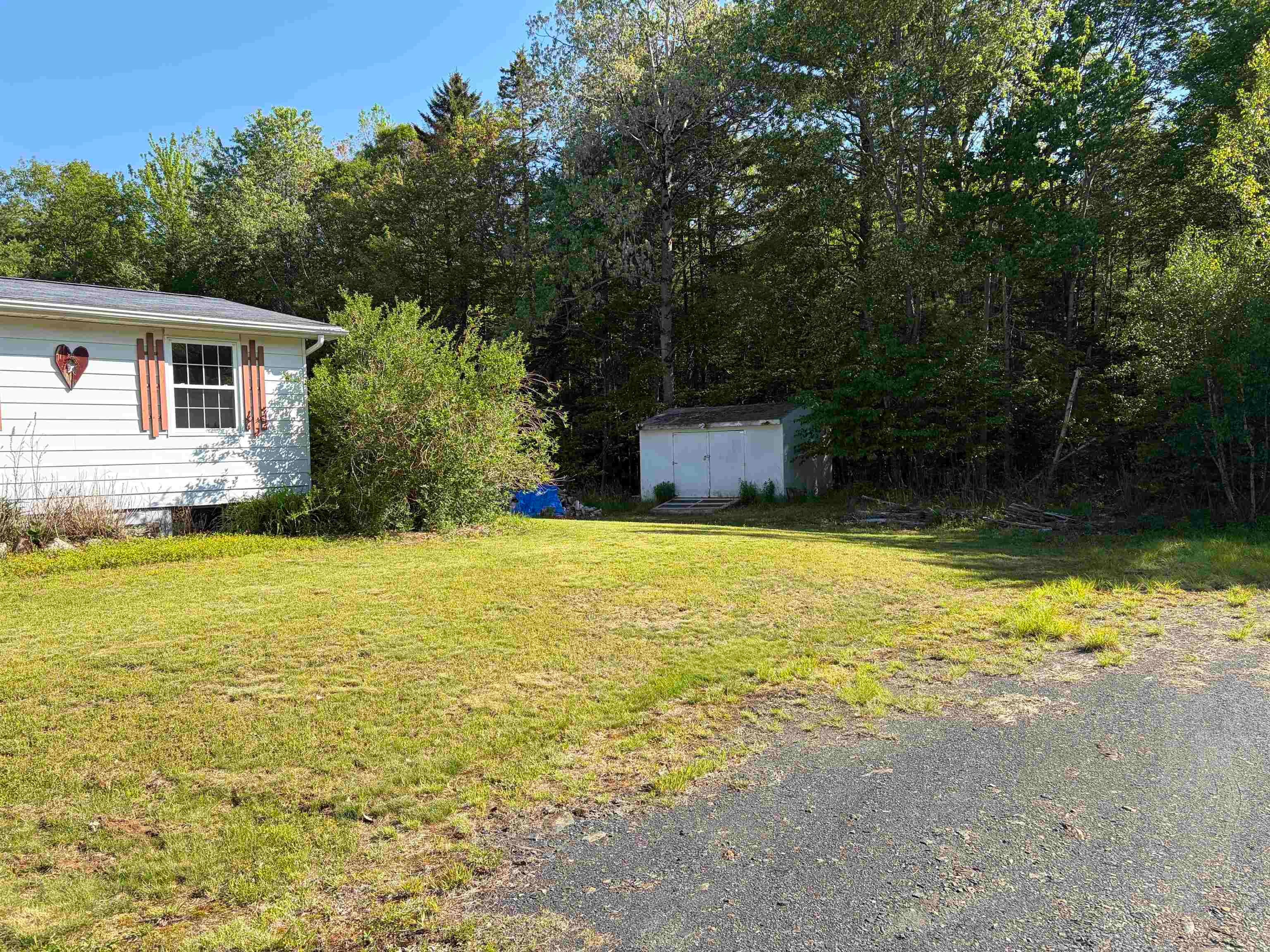 White siding exterior with a window featuring decorative shutters, a detached storage shed, a gravel driveway, and surrounding mature trees