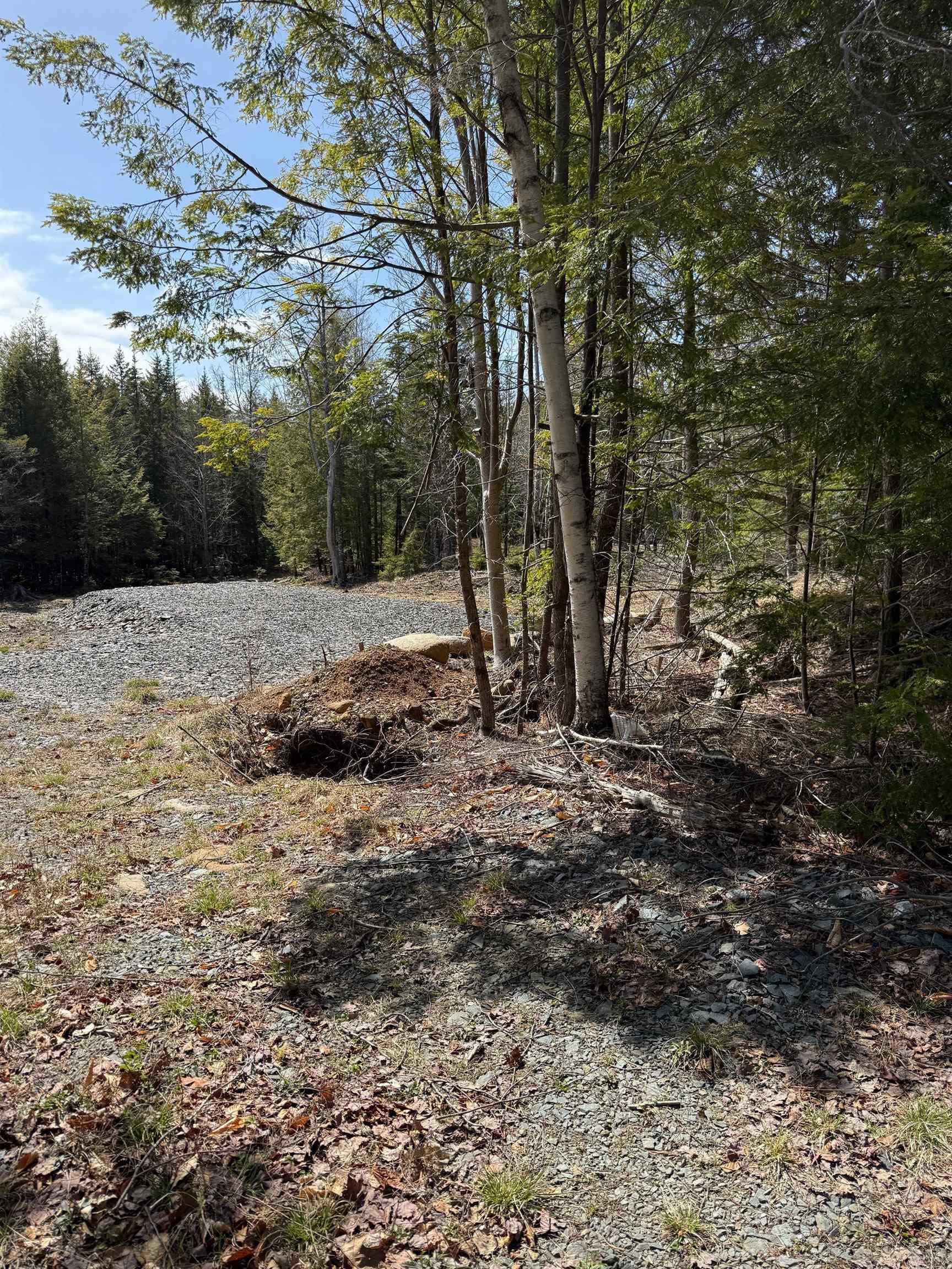 Dauphinee Road Lot 18 - Photo 3
