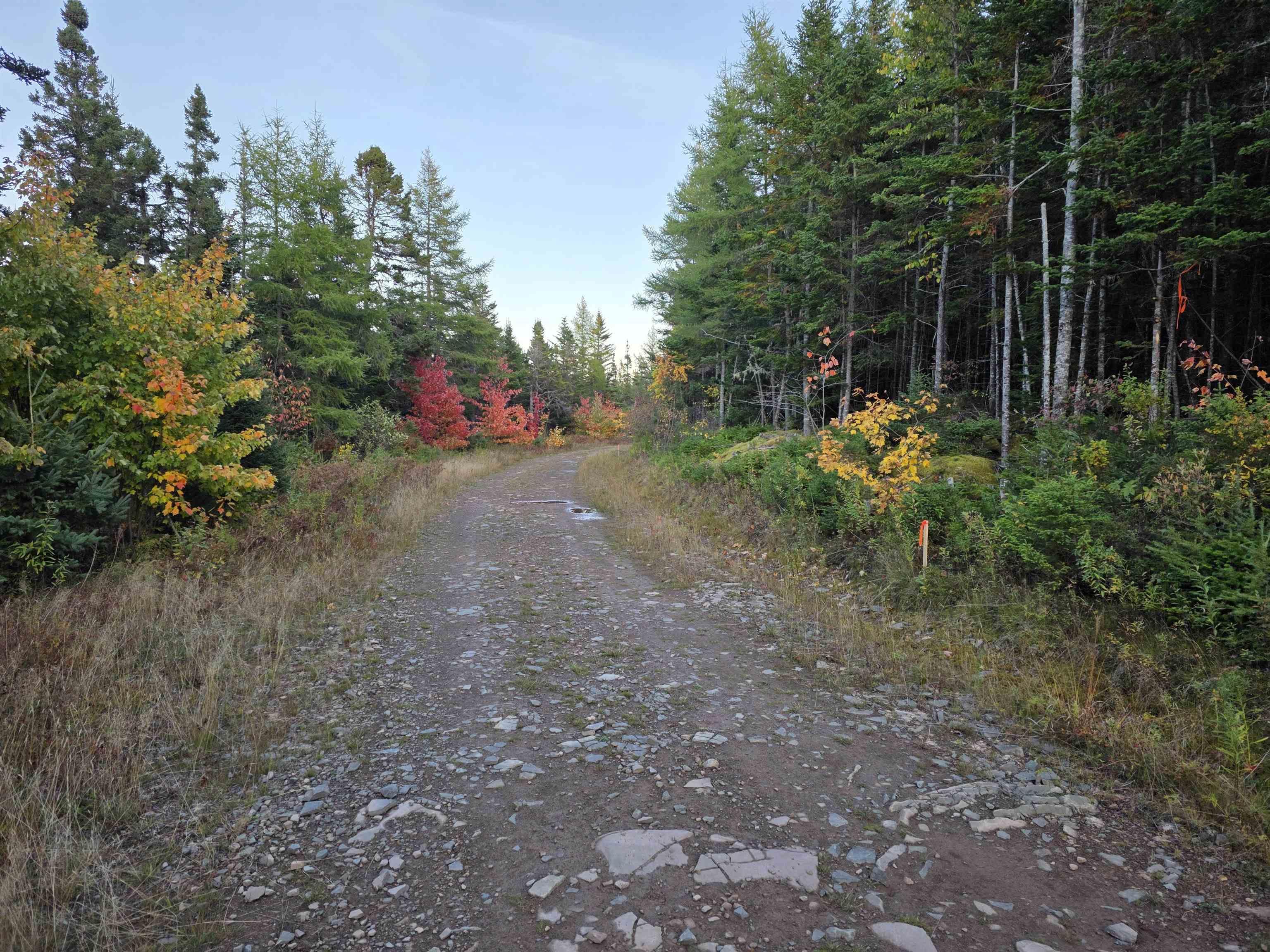 Photo 1 of 12 — Land 104 Highway, River Bourgeois, NS B0E 2X0