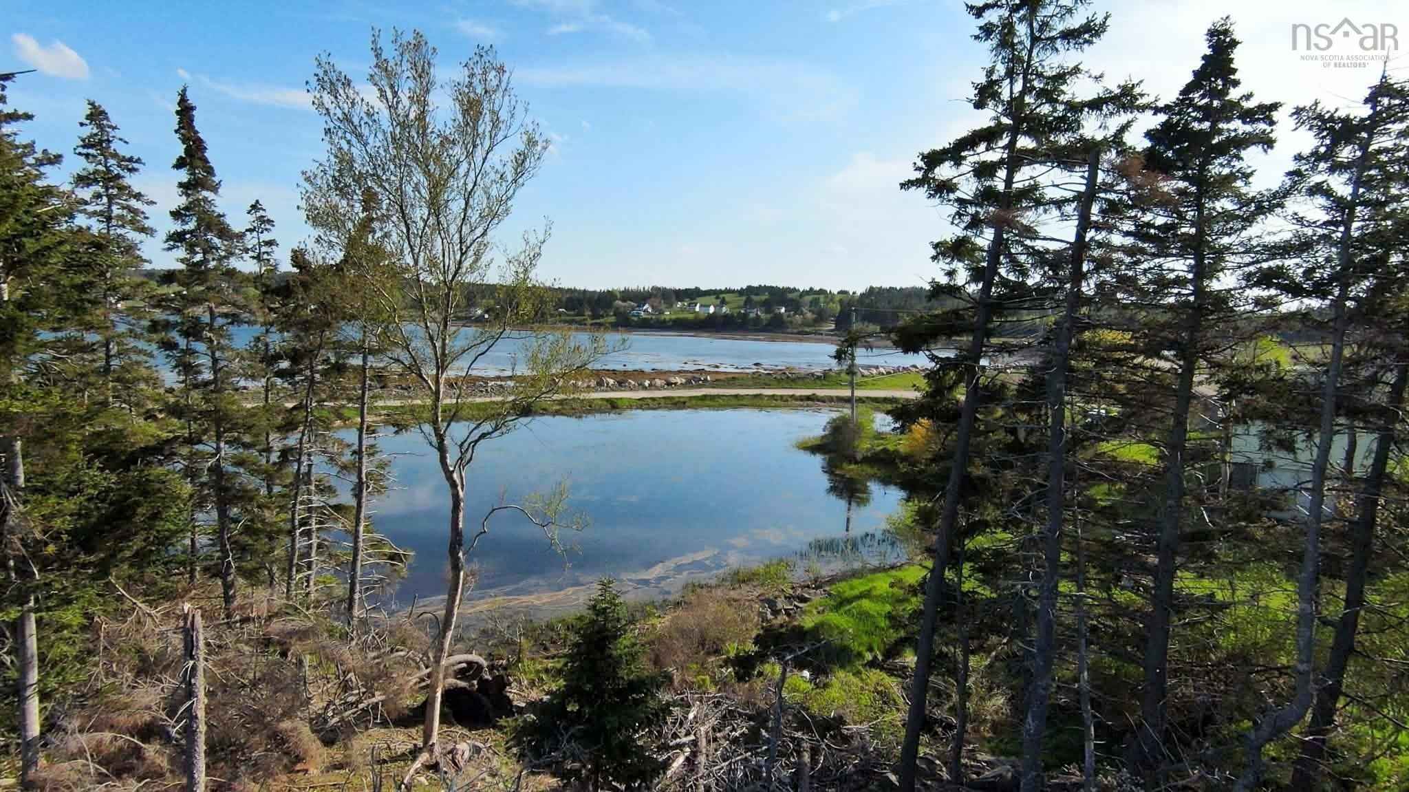 (Pid 60333259) South East Cove Road Lot - Photo 4