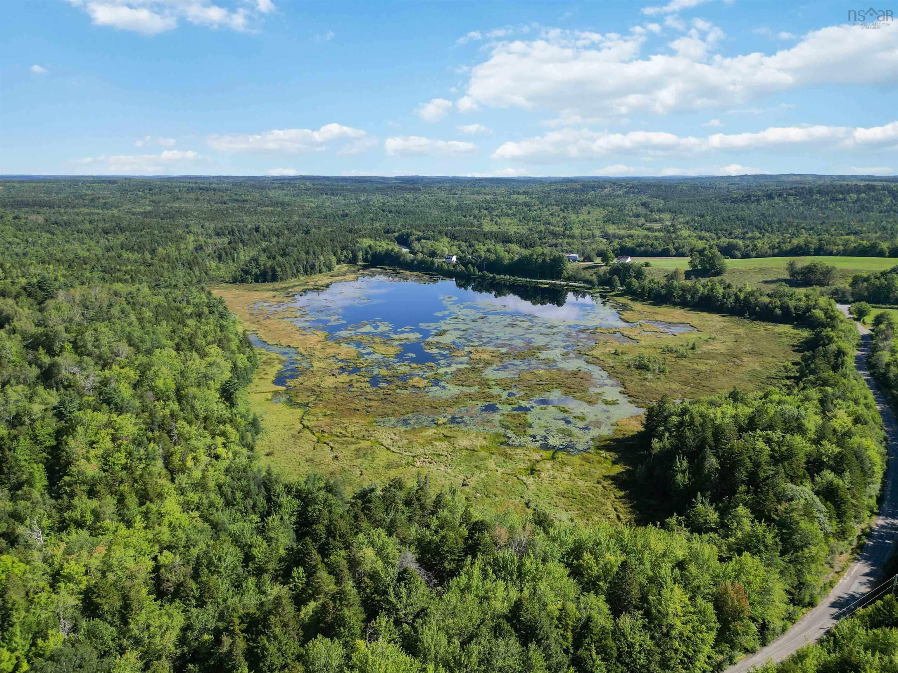(Pid 60348810) Crousetown Road Lot - Photo 4
