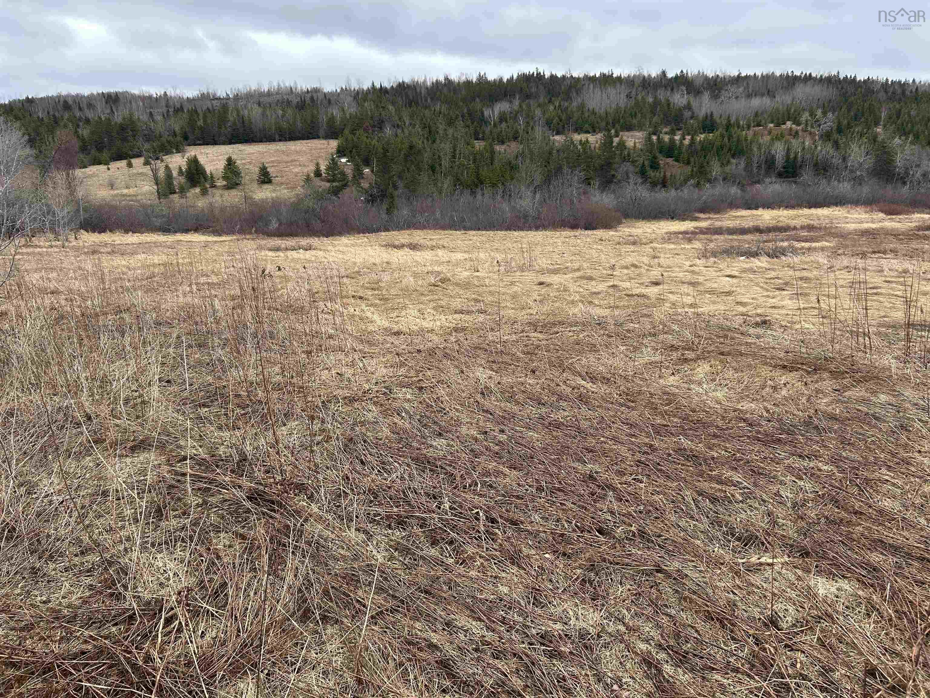 Photo 1 of 4 — South River Road, Antigonish, NS B2G 2H9