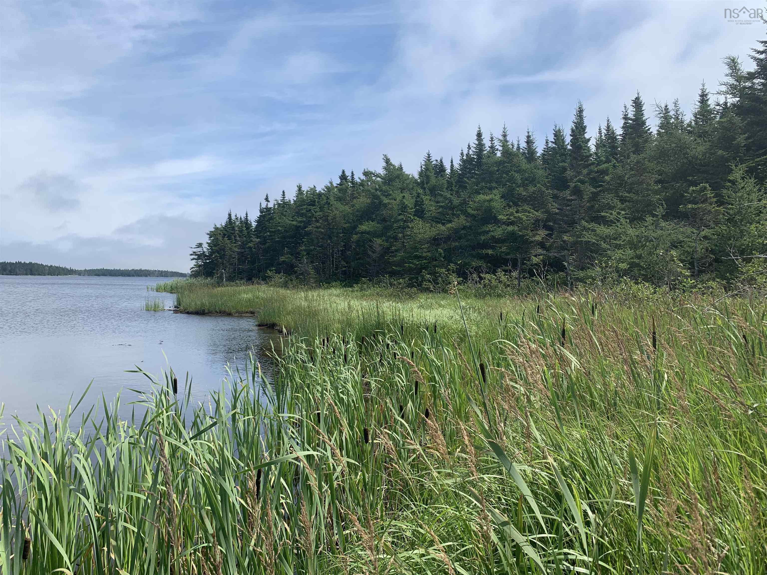 690 ft of pristine lake frontage