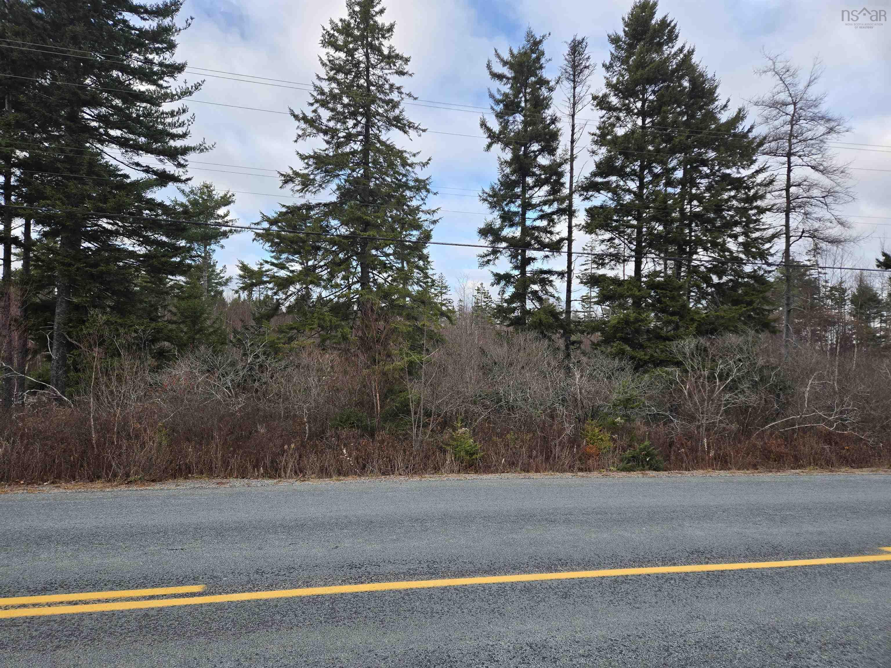 Mount Pleasant Road Lot P-2 - Photo 3
