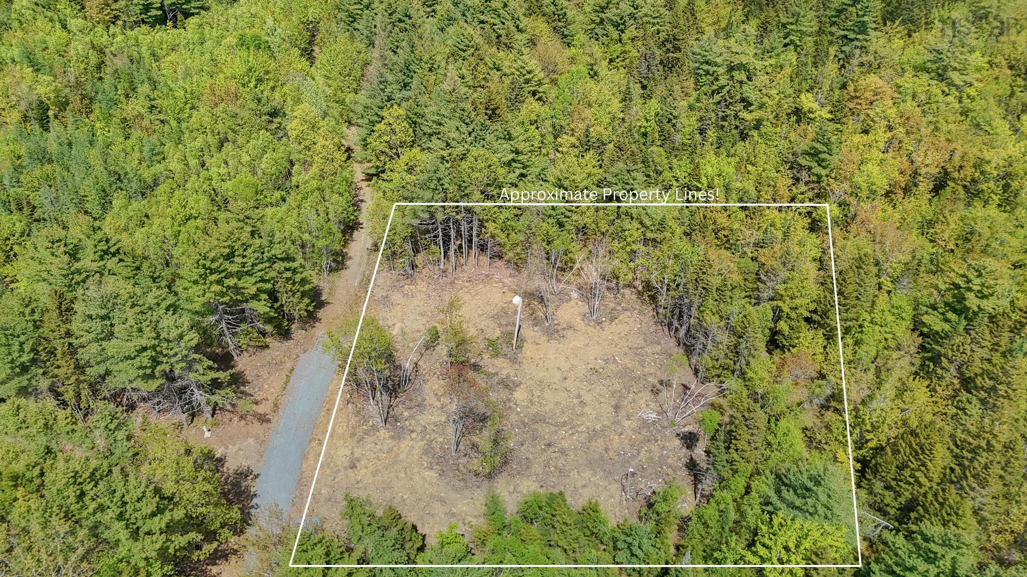 Aerial view of property's location with property boundaries highlighted and a forest