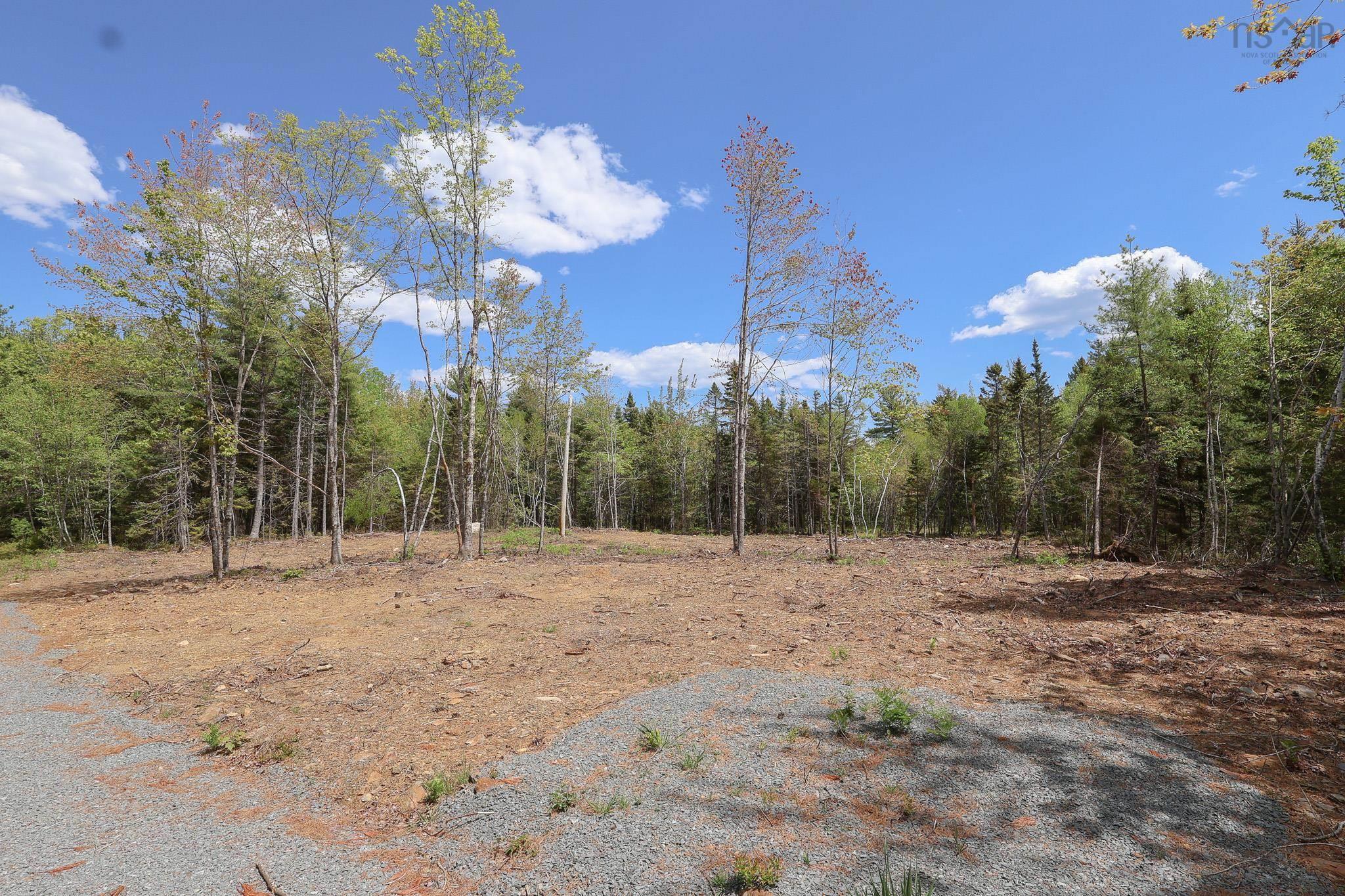 View of wooded area