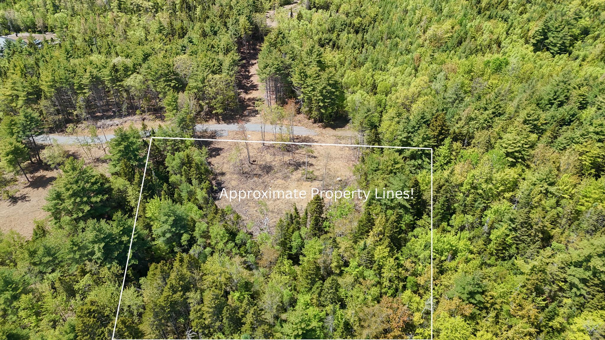 Aerial view of property's location with property boundaries highlighted and a forest