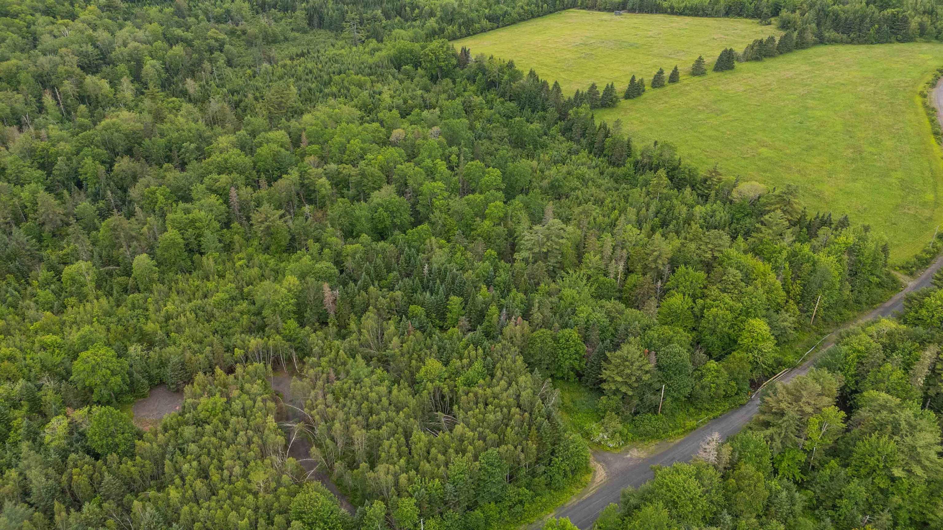 Chesley Road Lot 23-2 - Photo 3