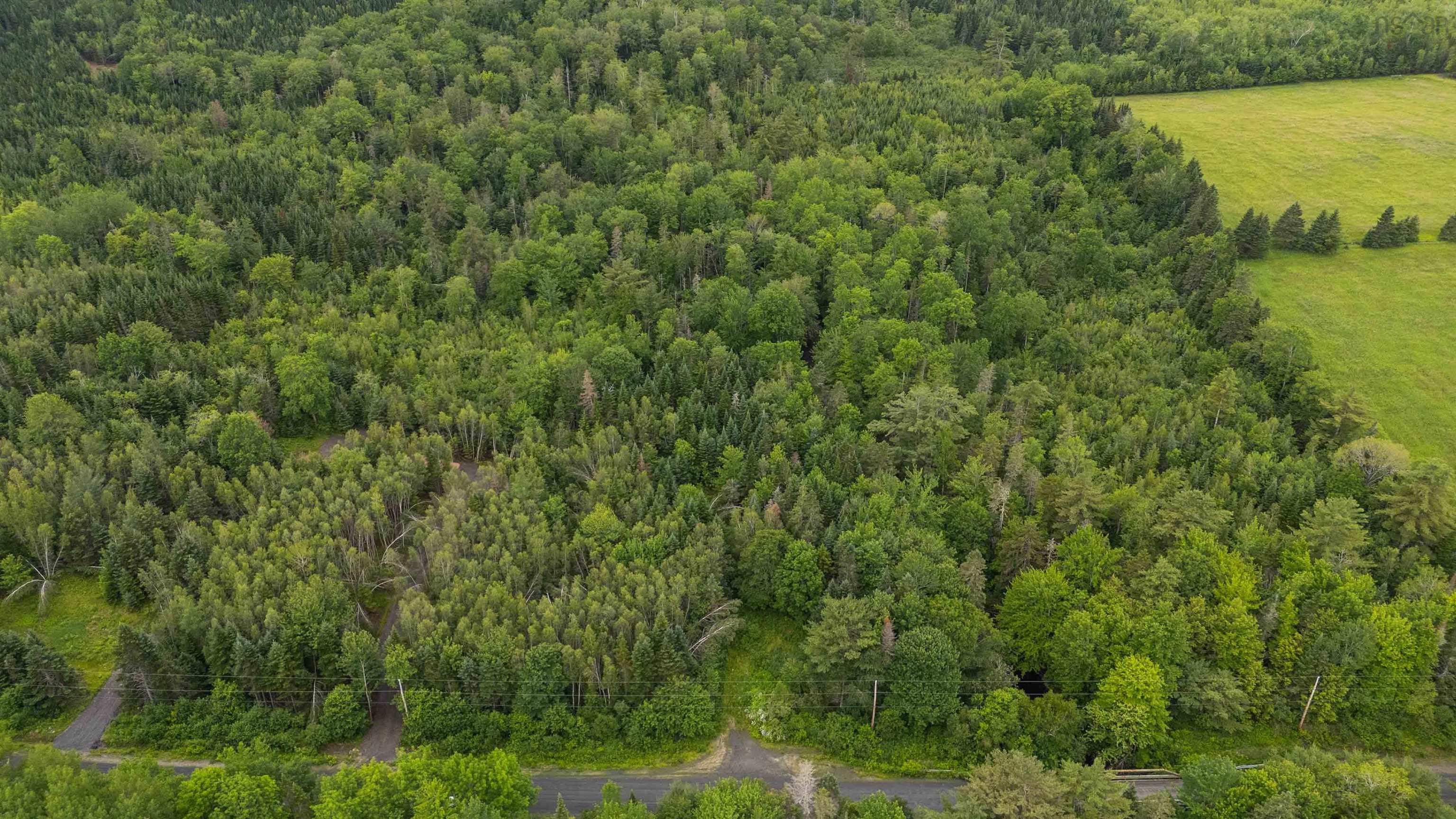 Chesley Road Lot 23-2 - Photo 4