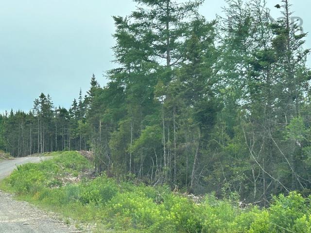 Photo 1 of 5 — Salmon River Road, West L'ardoise, NS B0E 1S0