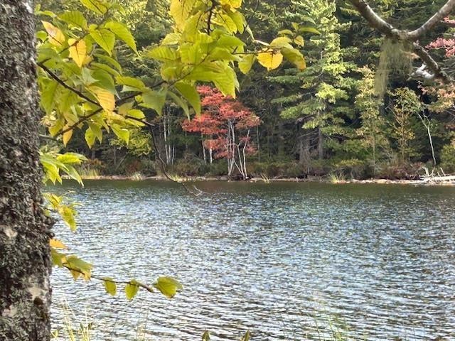 Photo 1 of 21 — Lakeshore Lot 3 & 4, New Russell, NS B0J 2M0