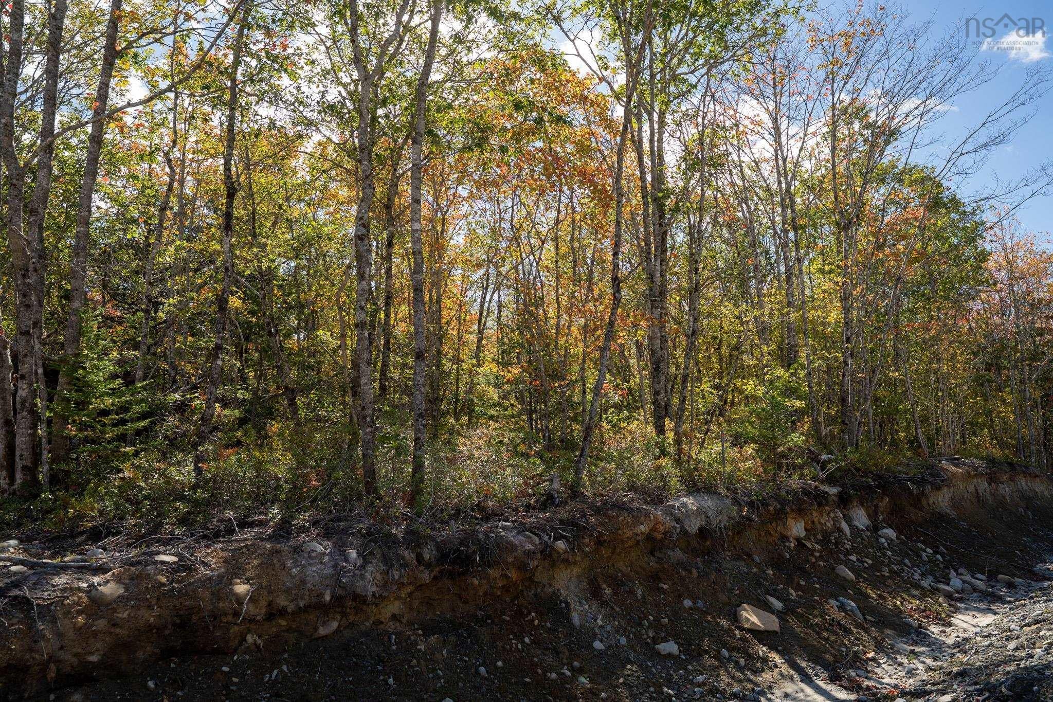 Photo 1 of 4 — Morton Drive 67, Liverpool, NS B0T 1K0