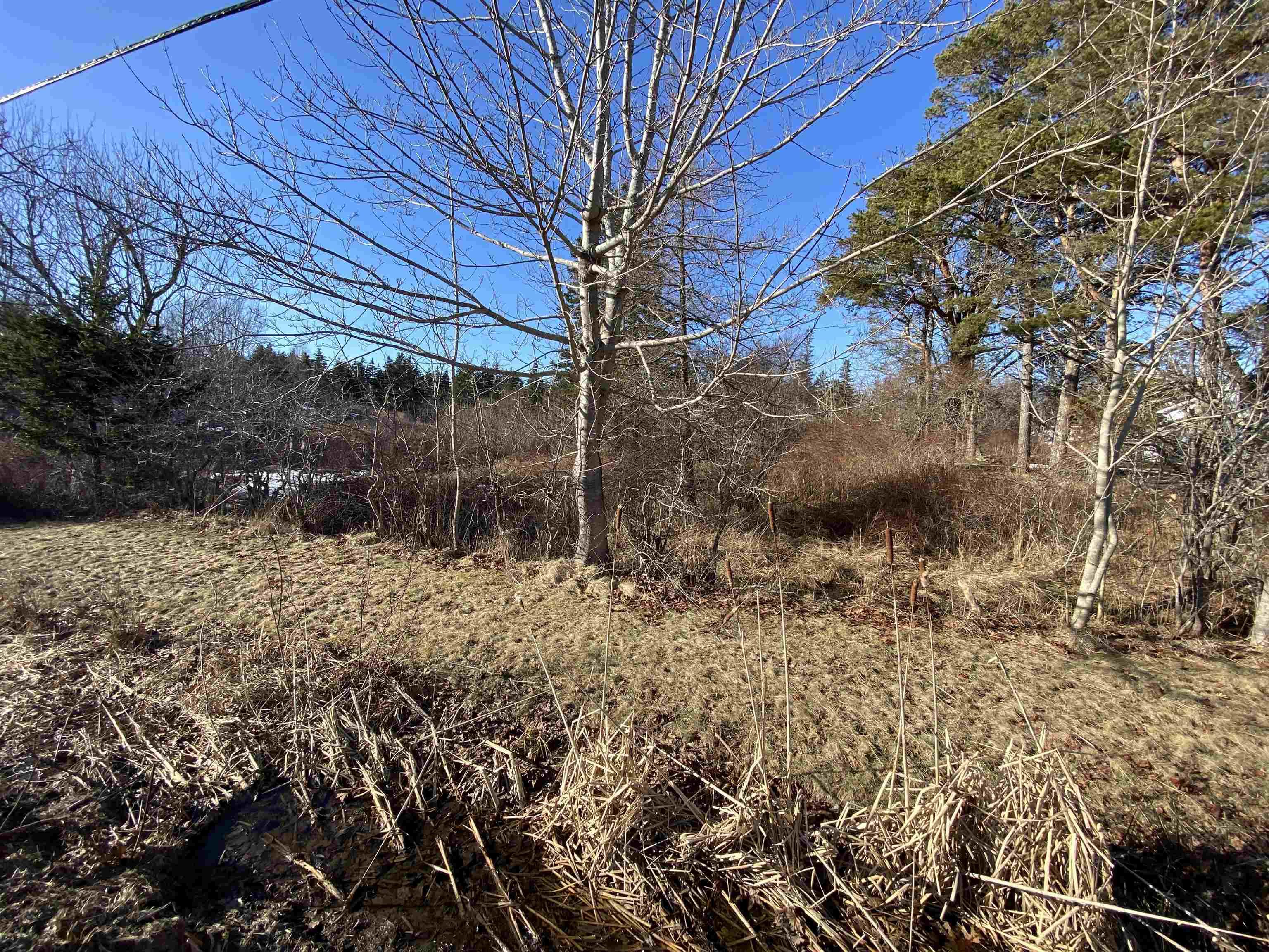 Photo 1 of 5 — 3 Highway, Arcadia, NS B0W 1B0