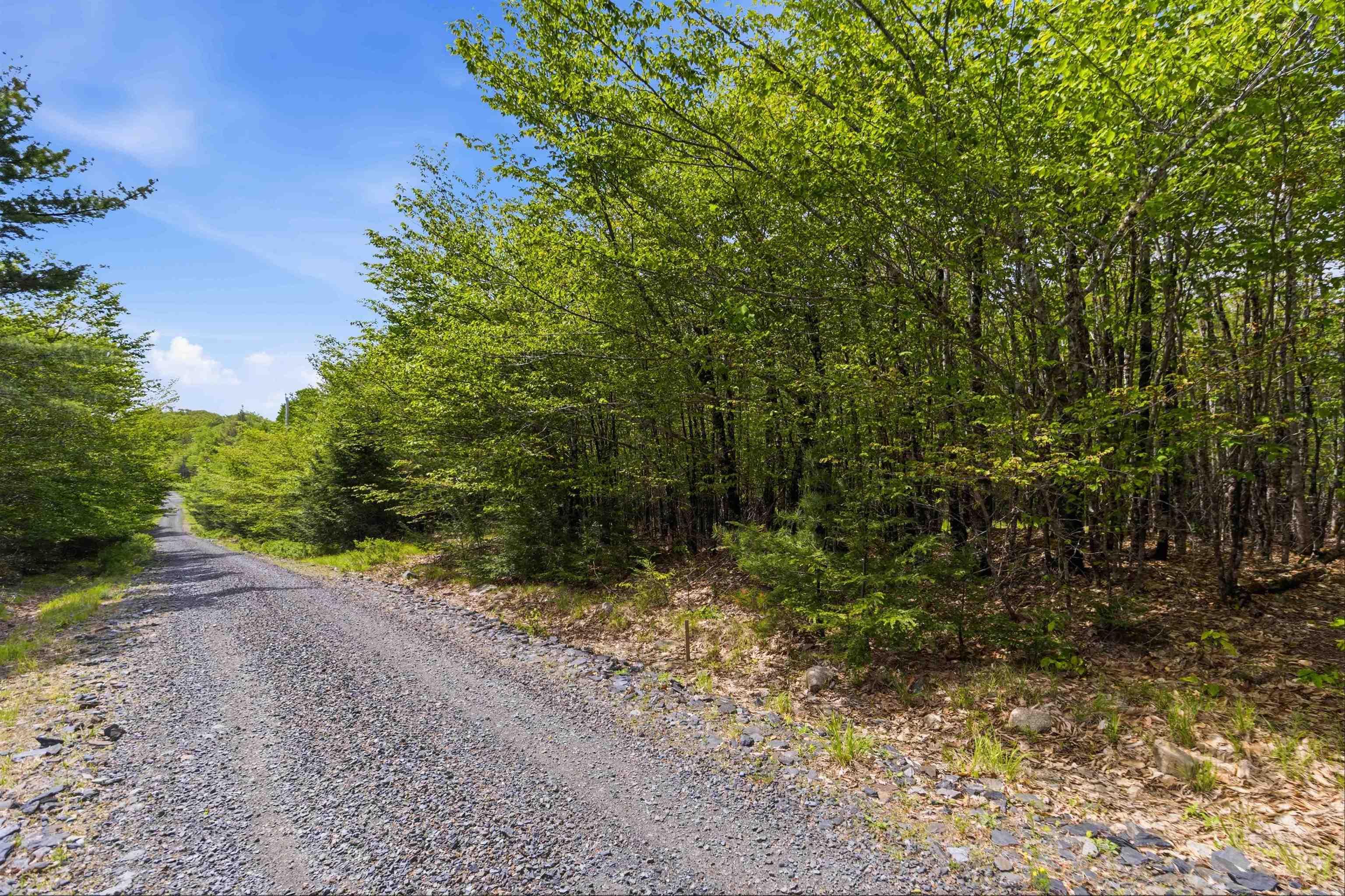 Maplesue Point Drive Lot 30 - Photo 3