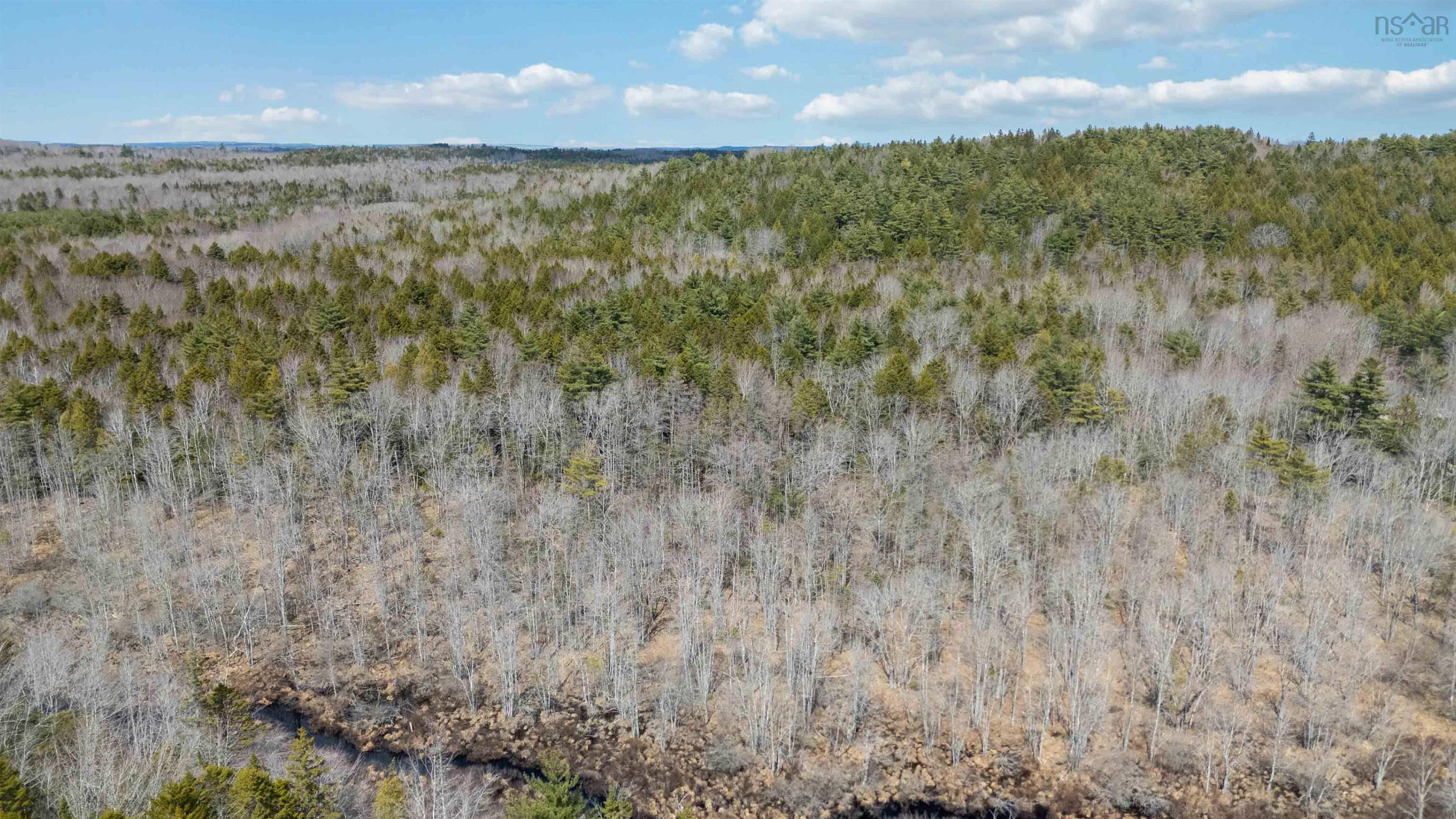Hirtle Road Lot 73 - Photo 2