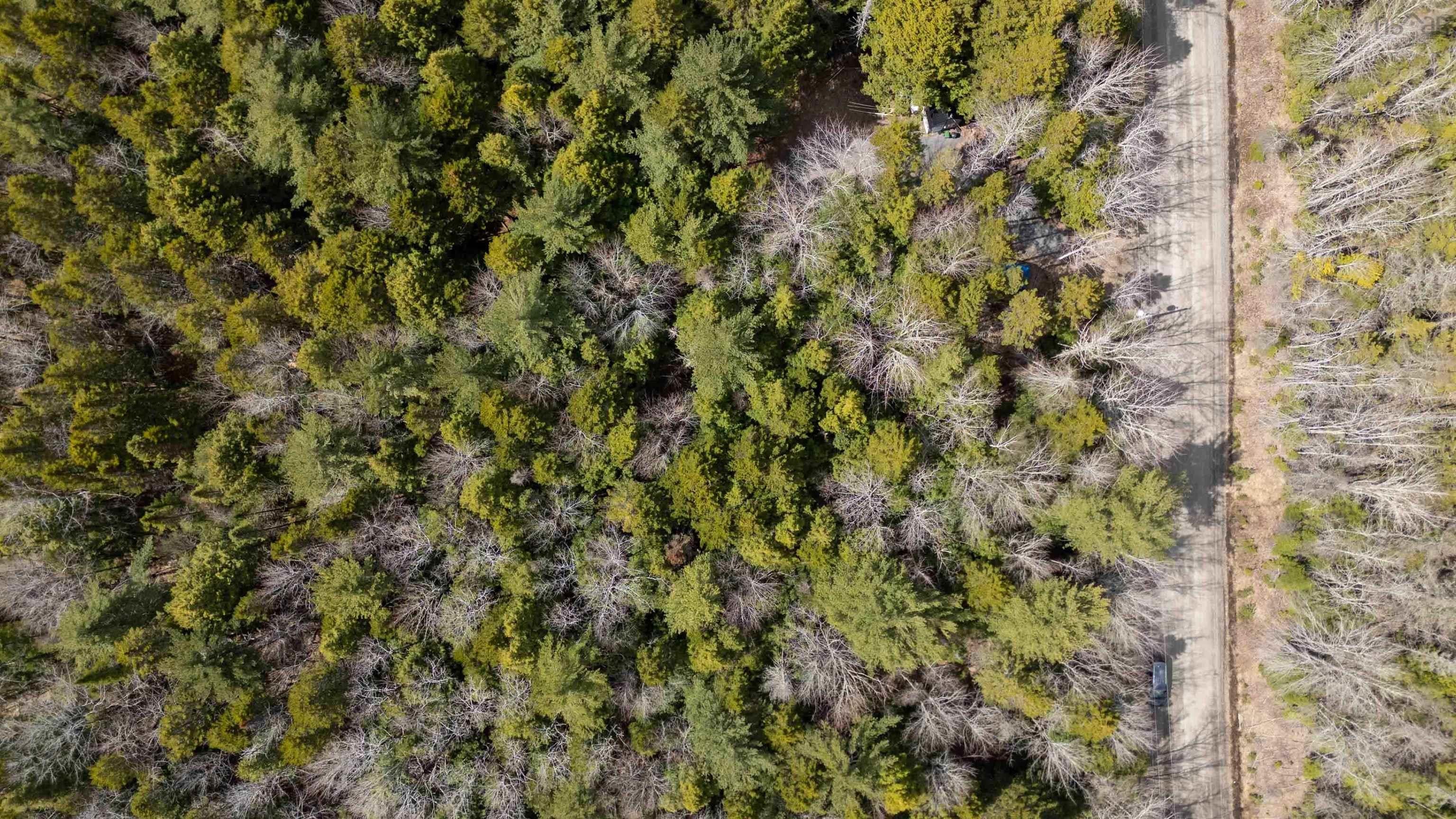 Hirtle Road Lot 73 - Photo 4