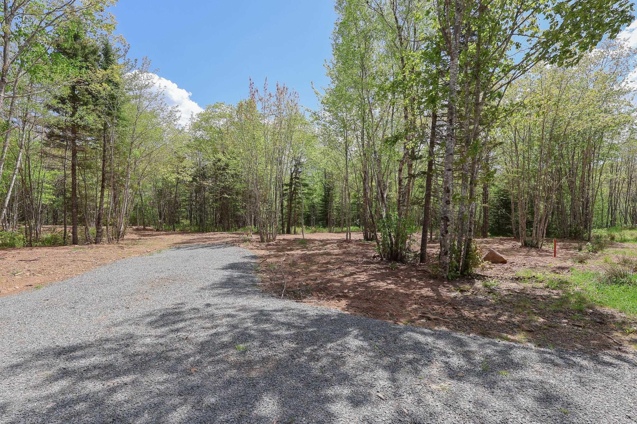 View of road with a view of trees