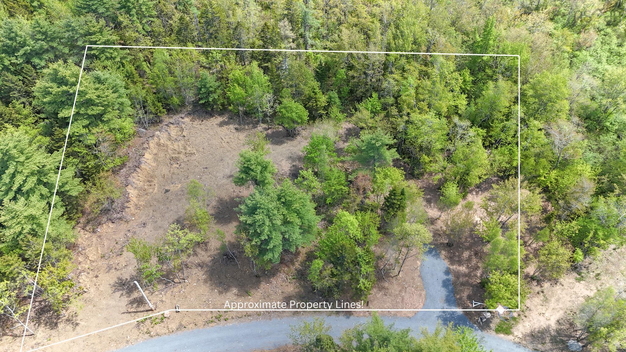 Aerial overview of property's location with property parcel outlined and a forest