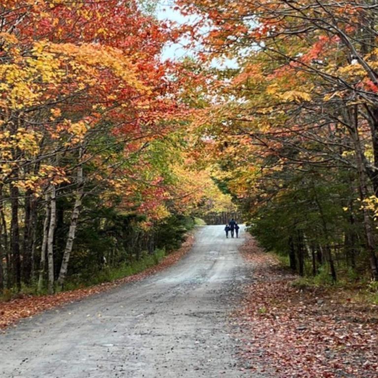 Photo 1 of 4 — Spyglass Way Lot 21-2, White Point, NS B0T 1K0