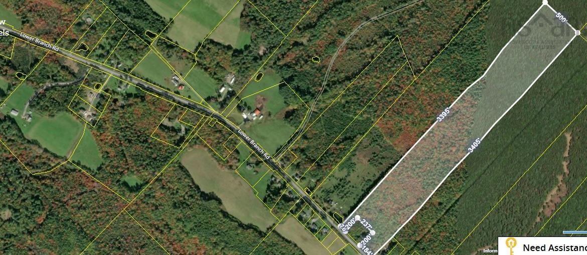 Lower Branch Road Lot 1A - Photo 2