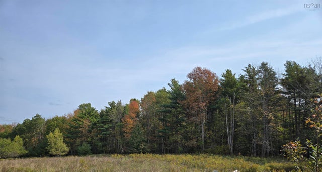 Lower Branch Road Lot 1A