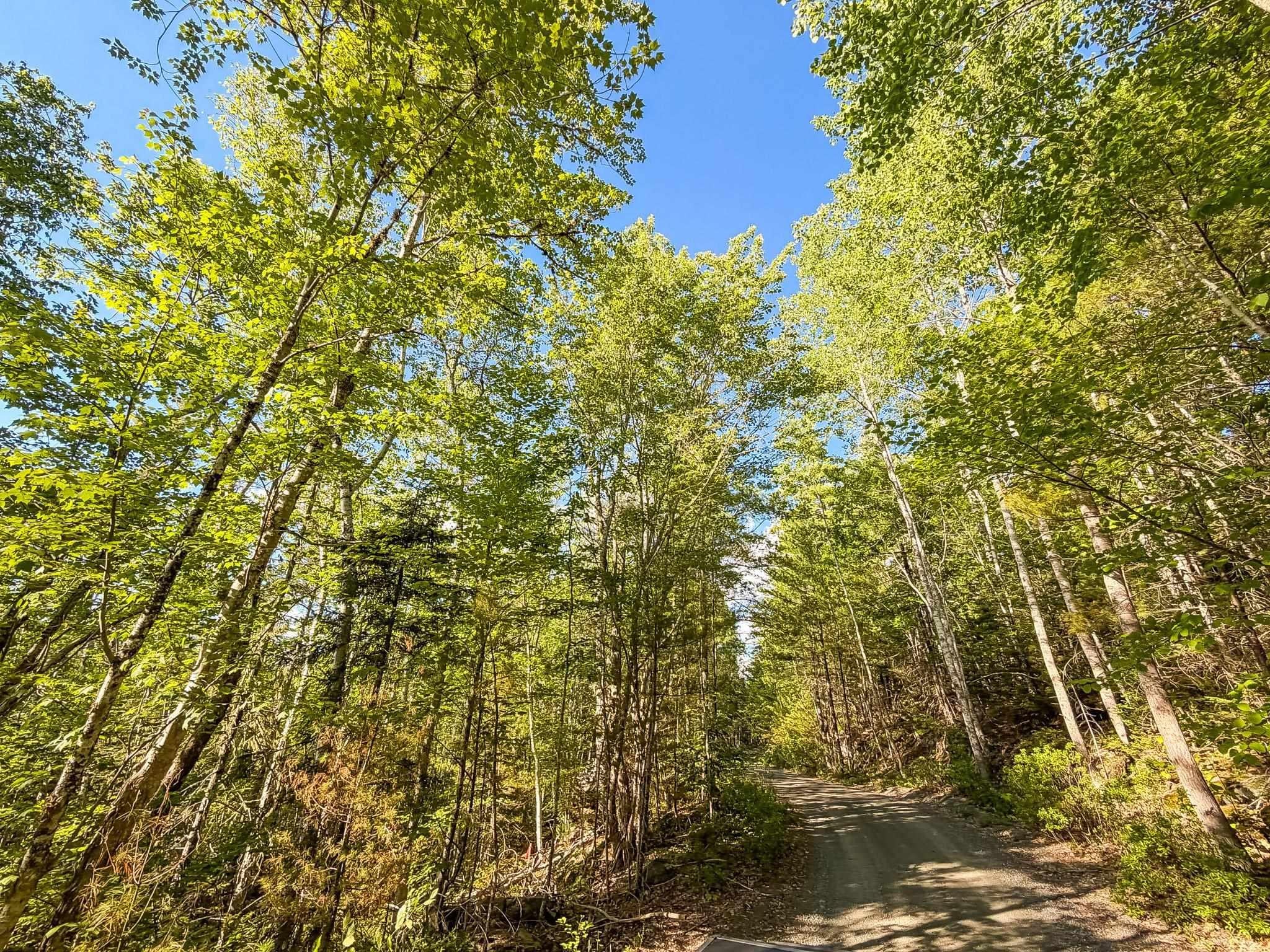 (Pid 70126610) Ponhook Shore Road Lot - Photo 4