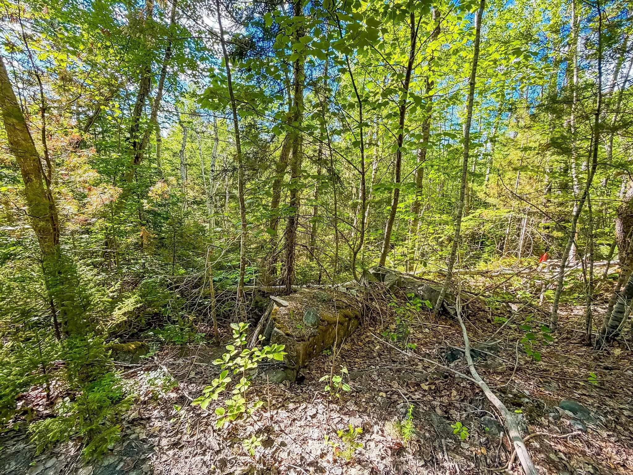 (Pid 70126610) Ponhook Shore Road Lot - Photo 3