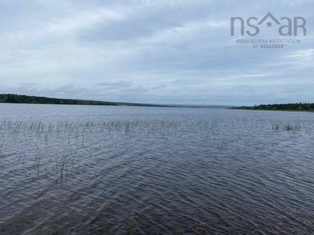 Water view