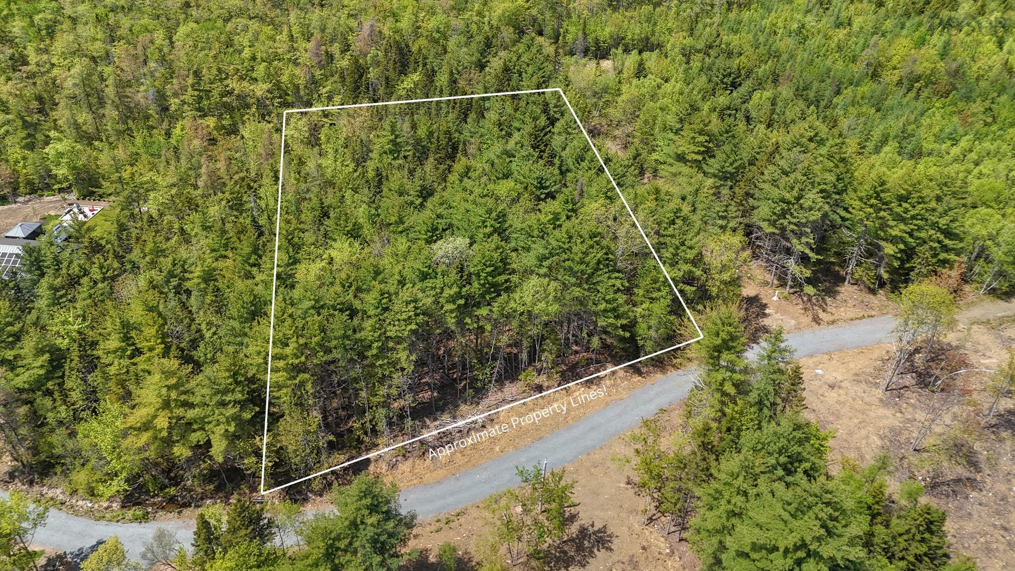 Aerial view of property and surrounding area with a forest and property parcel outlined