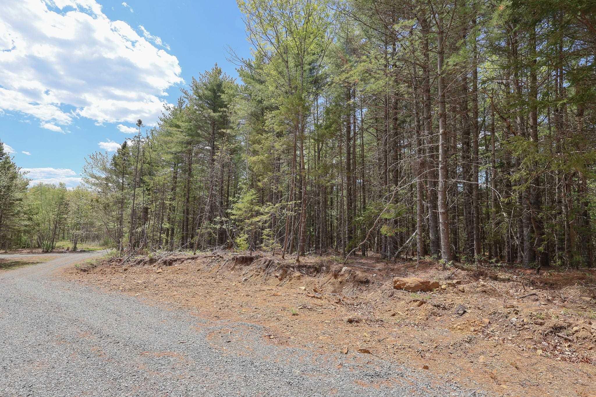 Cleversey Ridge Park Lot 101 - Photo 4