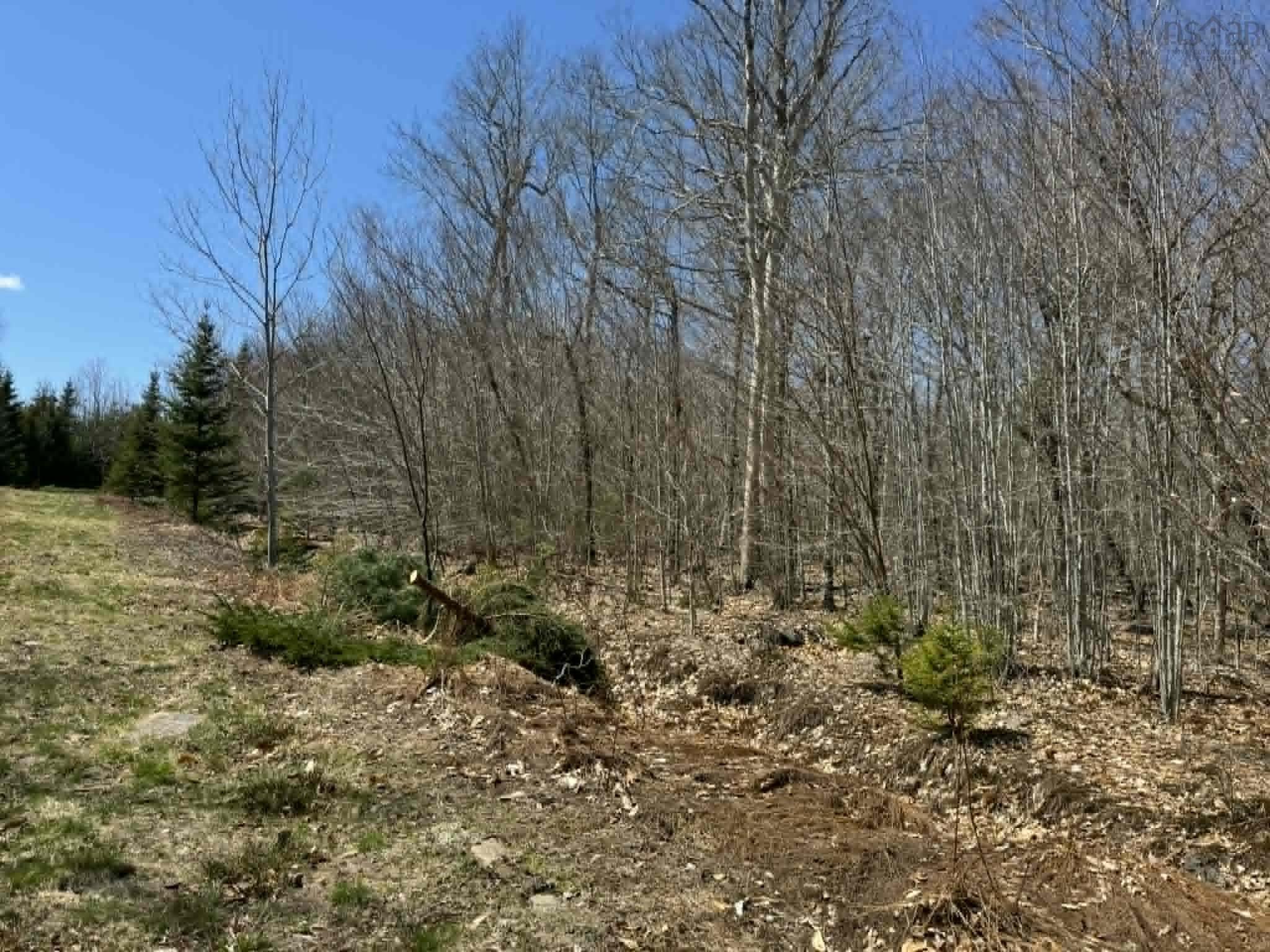 Photo 1 of 4 — Kill Dog Cove Road Lot R-10, Parkdale, NS B0R 1A0