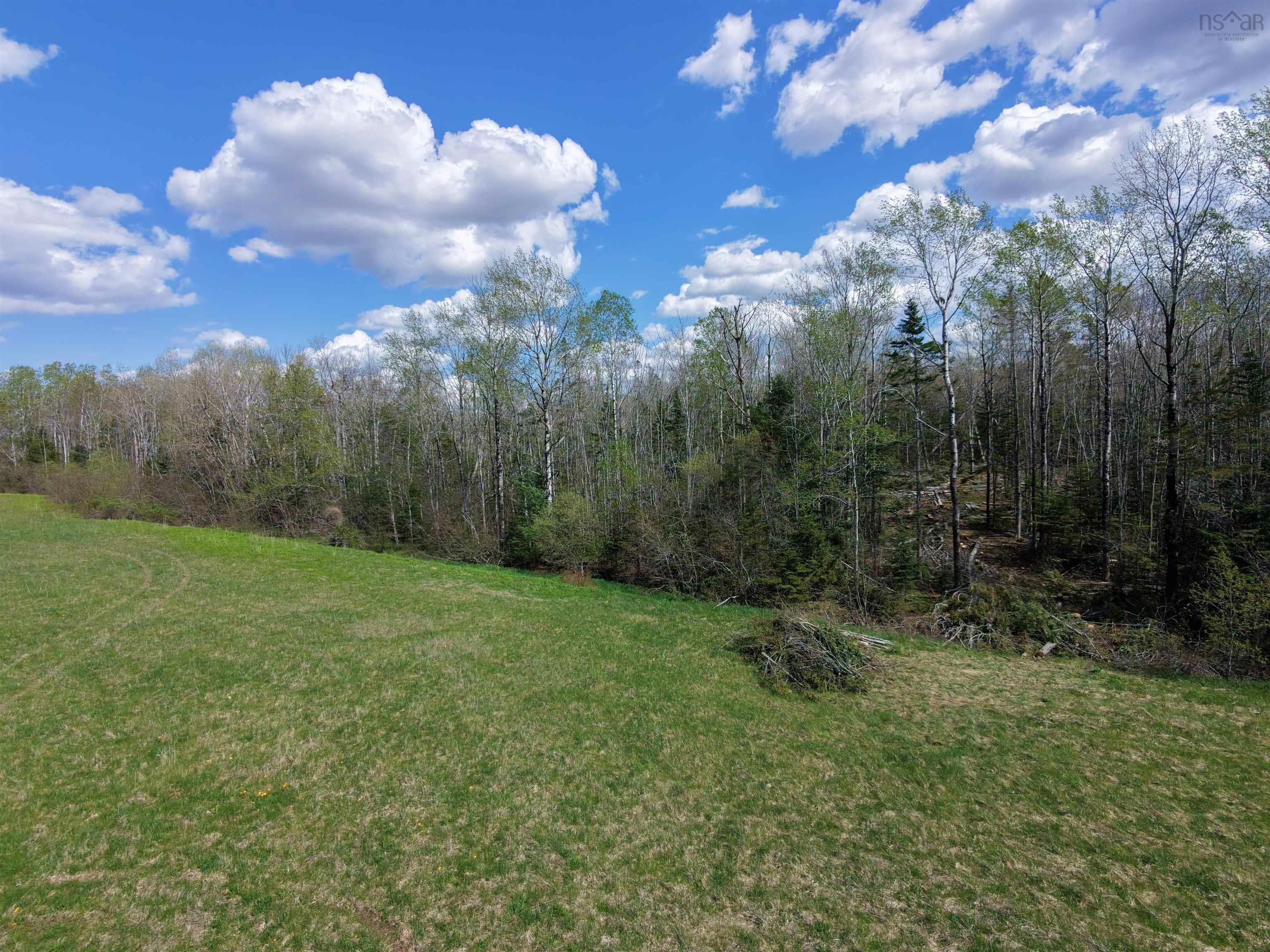 Bishopville Road Lot JT-90-1A2 - Photo 4