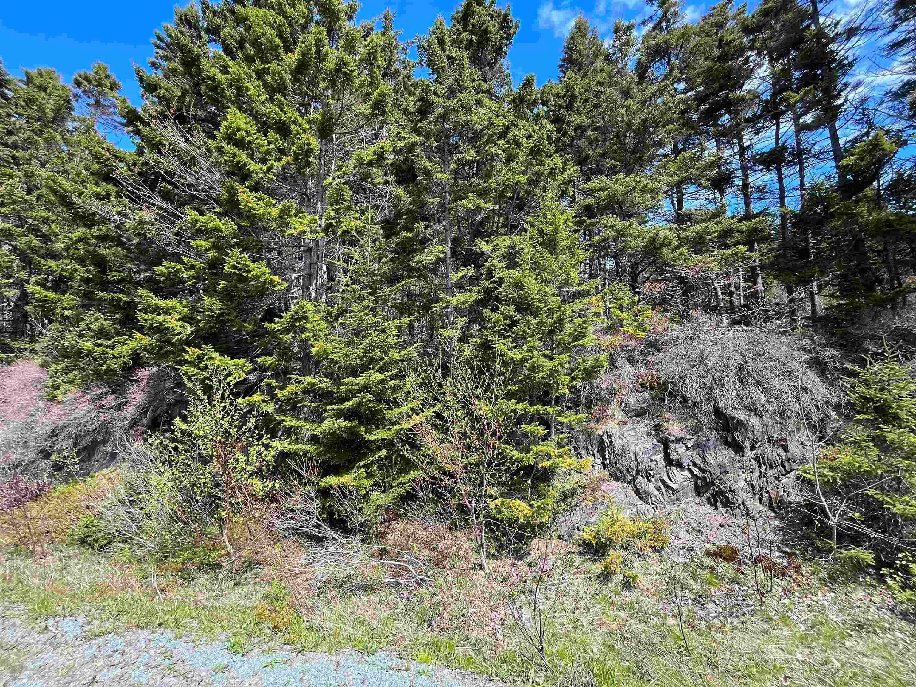 (Pid 60466794) Highway 332 Lot - Photo 4
