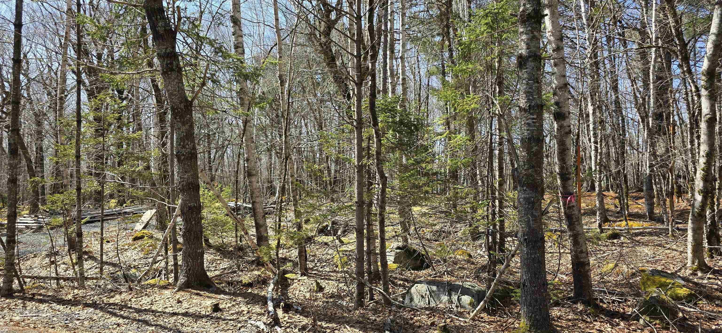 View of nature featuring a view of trees