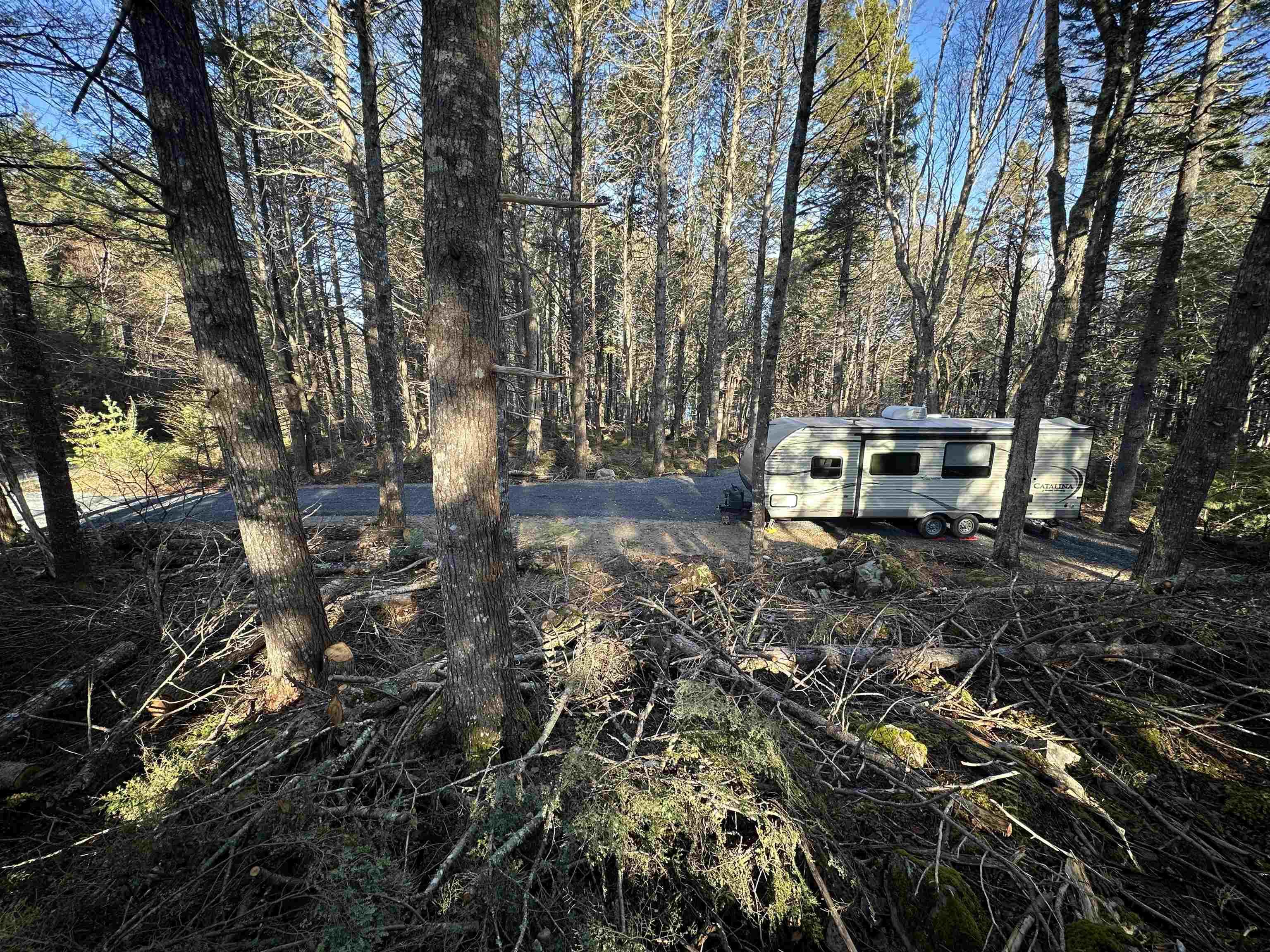 Horseback Hideway Lot 15 - Photo 4