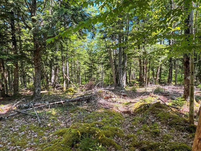 Conquerall Road Lot 1000