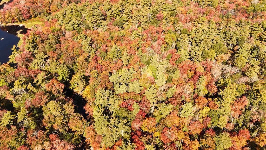 Photo 1 of 8 — BR-1 Bowers Road, Lower Ohio, NS B0T 1W0