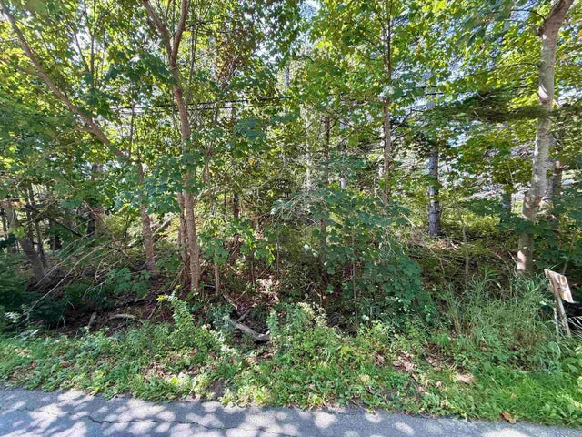 Green Bay Road Lot 2