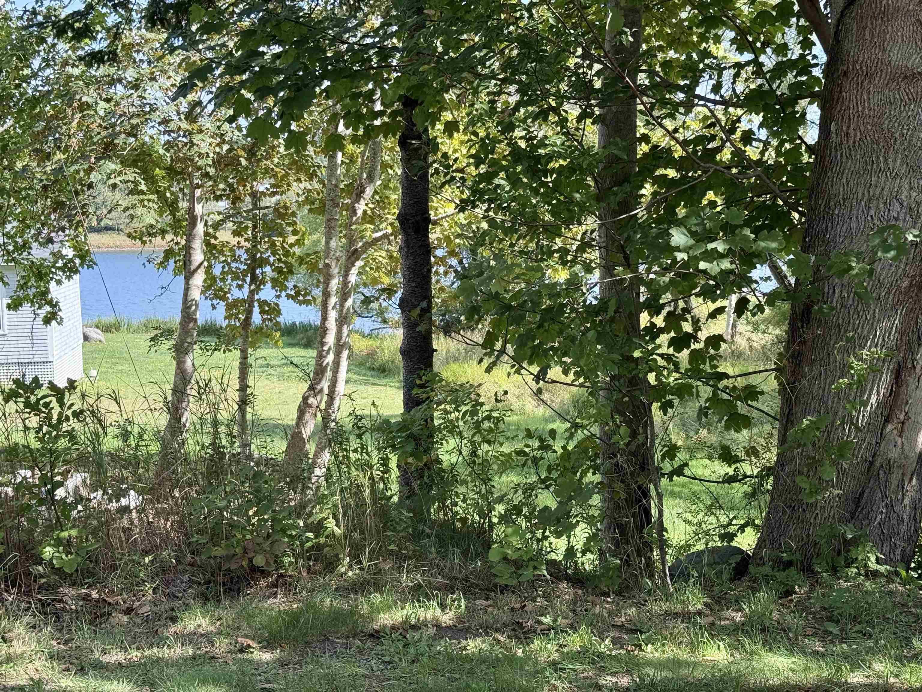 View from Lot 2