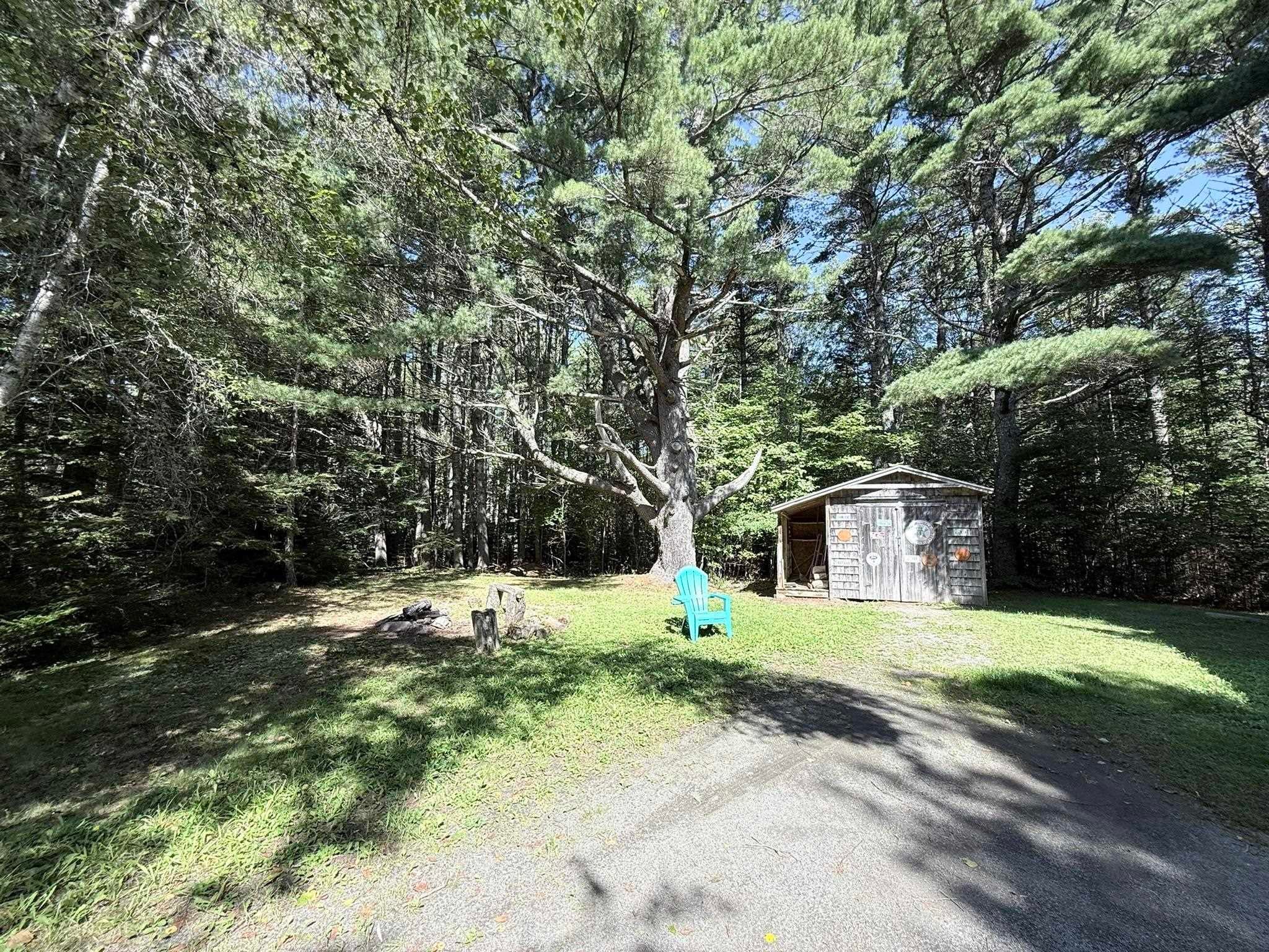 2031 East Clifford Road - Photo 4