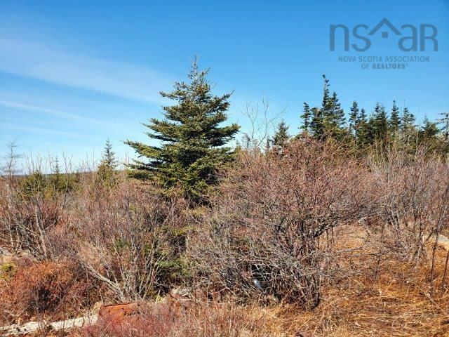 Photo 1 of 7 — Rocky's Road, Woods Harbour, NS B0W 2E0