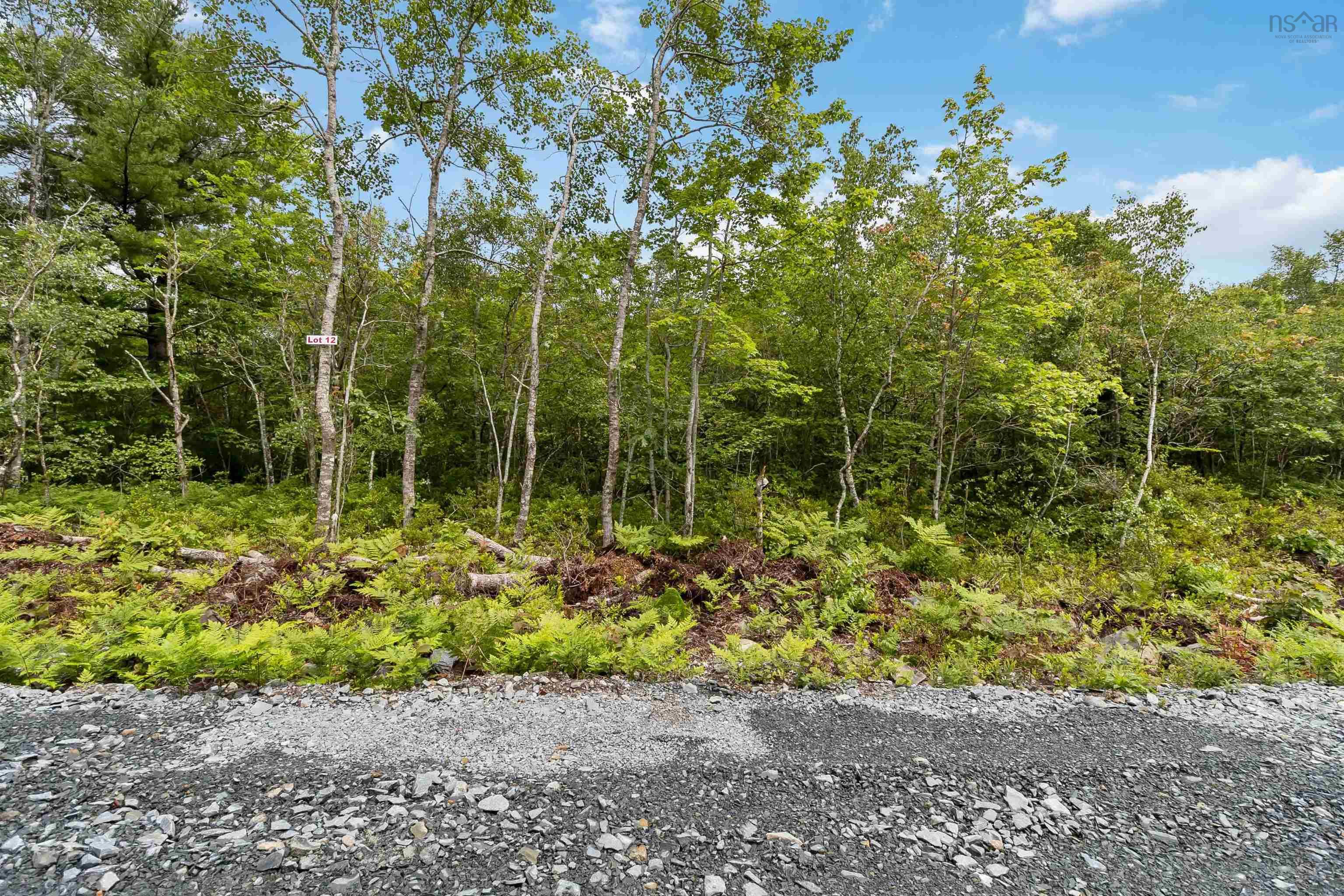 Maple Ridge Drive Lot 12 - Photo 4